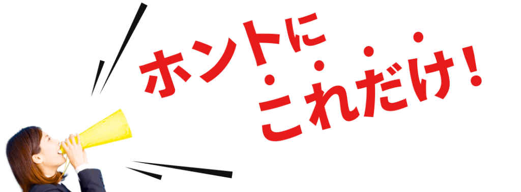 ホントにこれだけ！